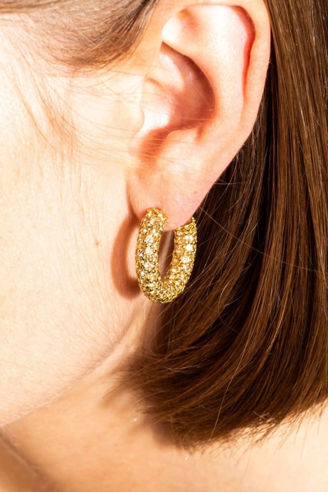 House Of Vincent - Halo Heritage Hoop Earrings - Gilded 