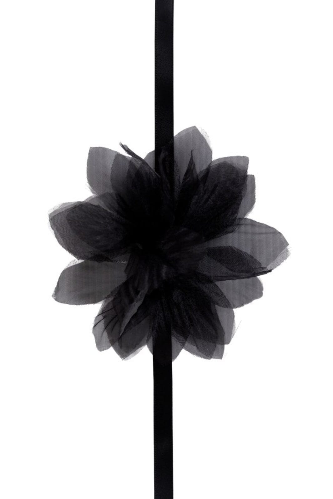 Forudbestilling - Black Colour - Bcfiora Neckband - Black - (Marts) Halskæder 