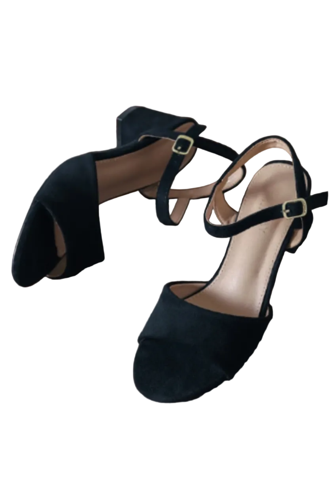 Bloom - Periwinkle  - Black