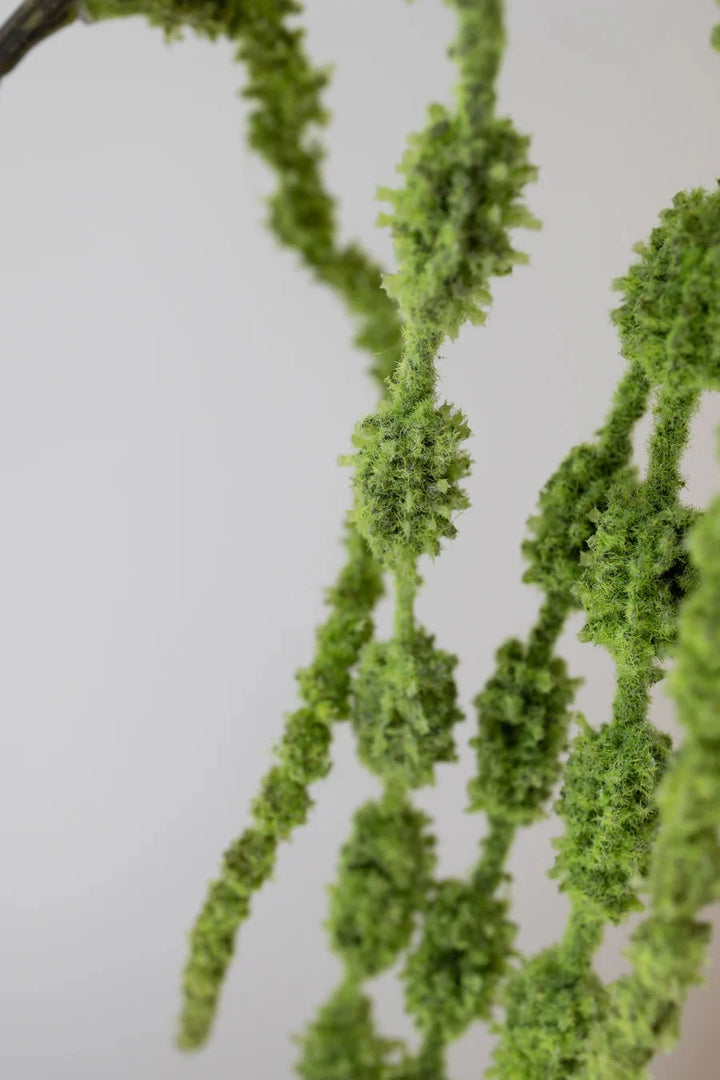 Bloom Objects - Artificial Amaranthus 6 Fork 02-179 - Green Dekoration 
