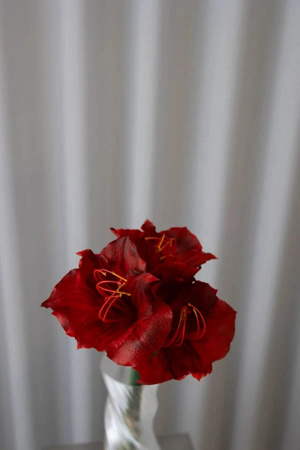 Bloom Objects - Artificial Amaryllis - Red 02-435 - Red 