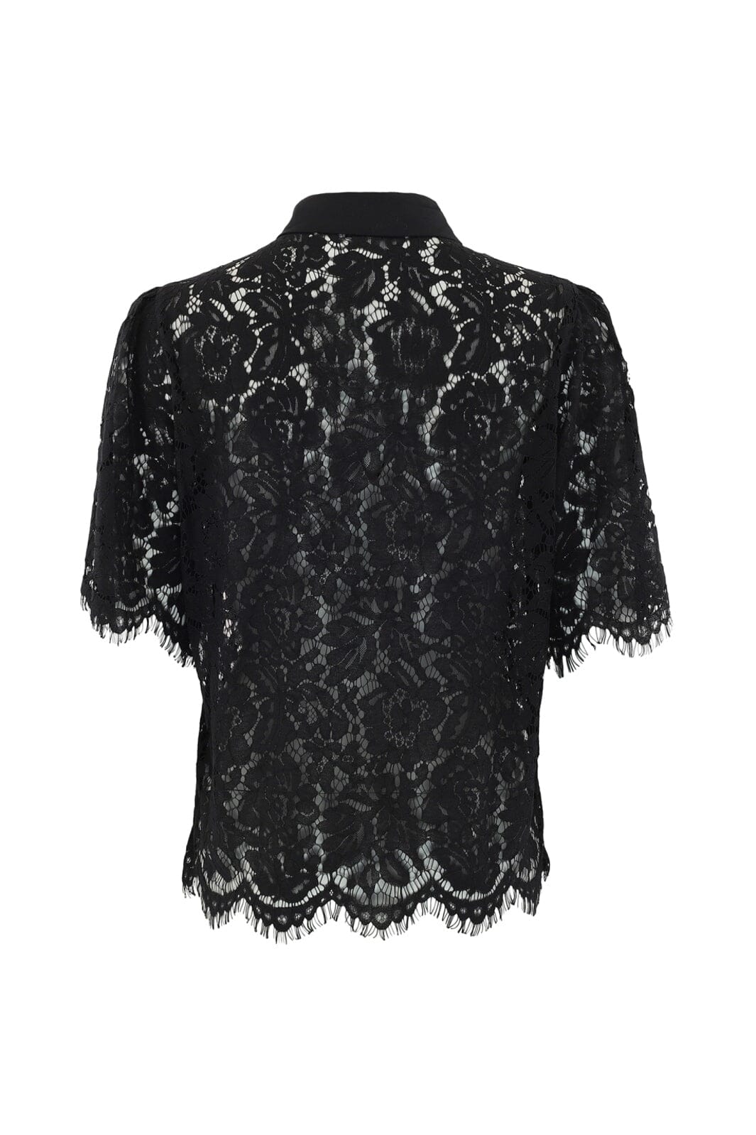 Continue - Paloma Lace 14992 - 01 - Black