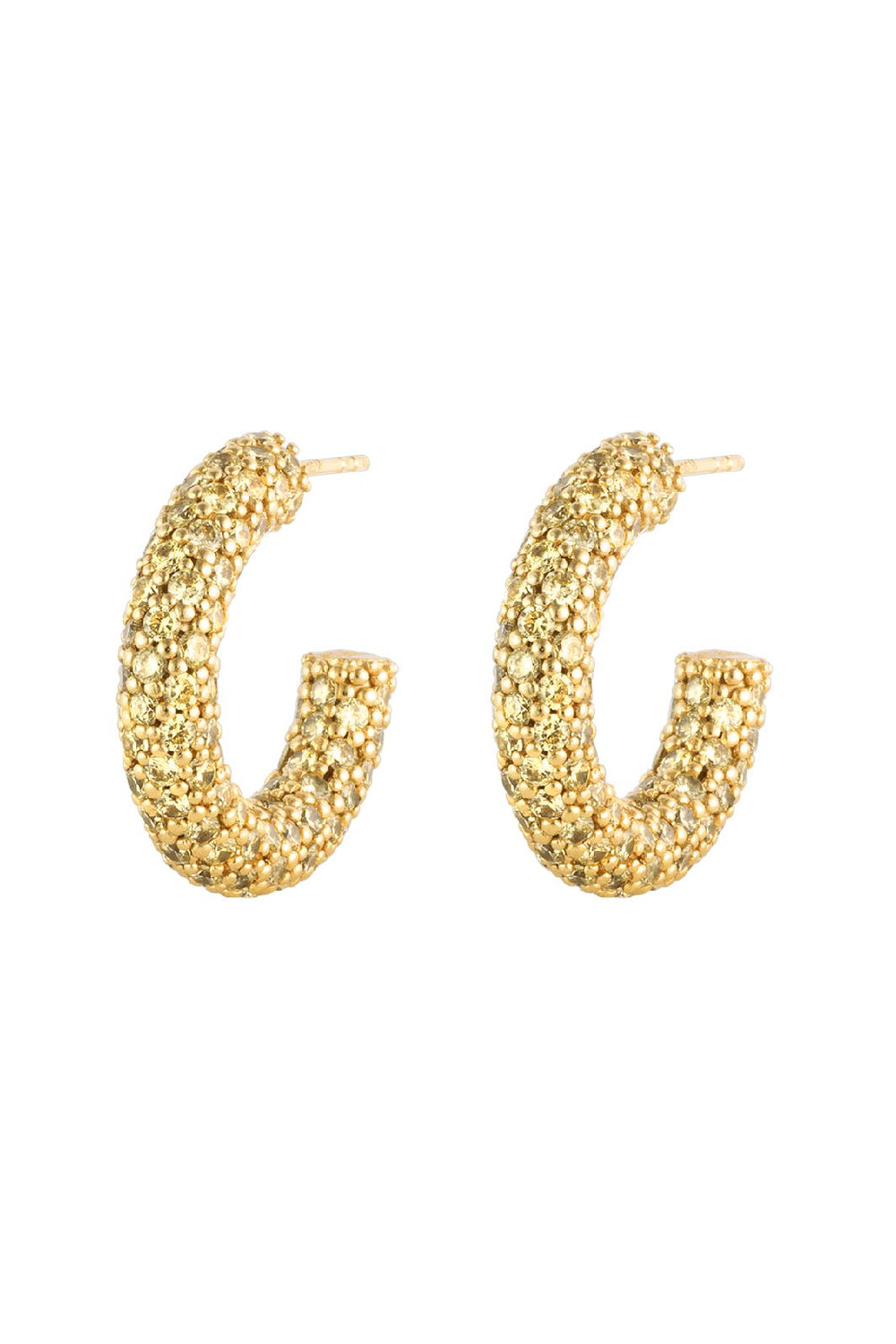 House Of Vincent - Halo Heritage Hoop Earrings - Gilded