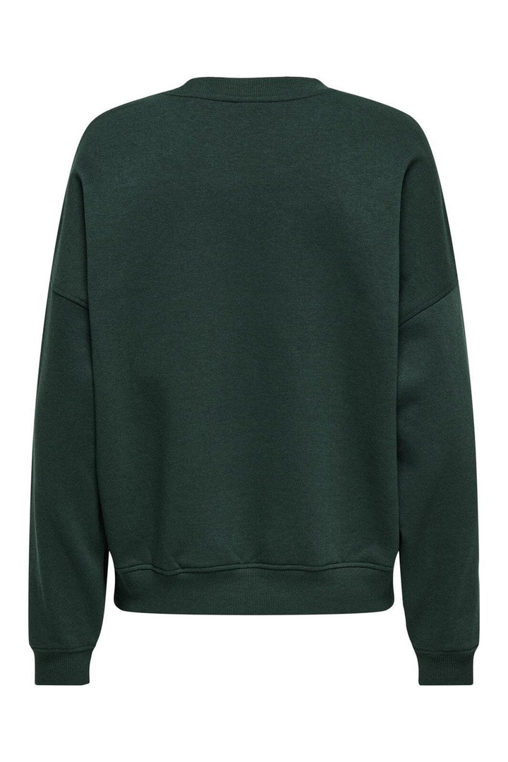 JDY - Jdymesa L/S O-Neck Emb Sweat - 4974491 Pine Grove Champs Emb