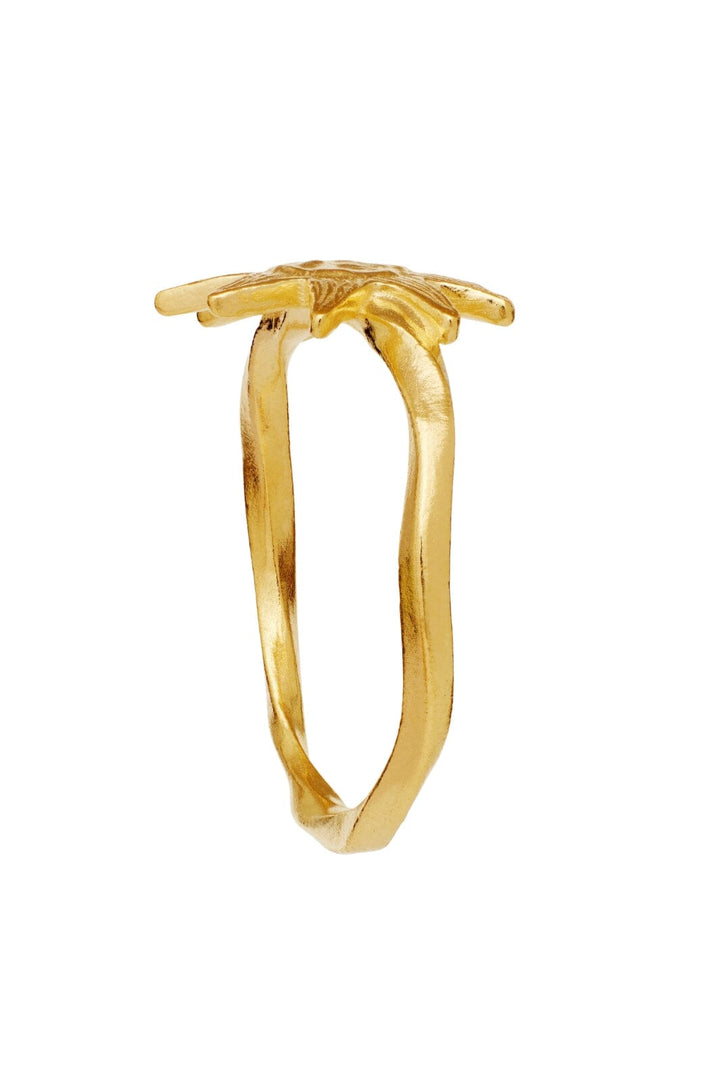 Maanesten - Sonja Ring - 4869a