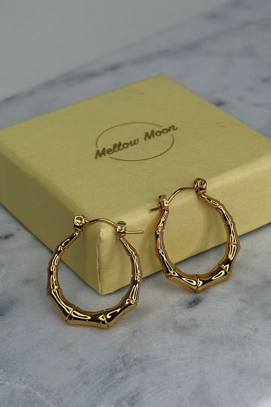 Mellow Moon - Pearl Earring E0991678 - Forgyldt