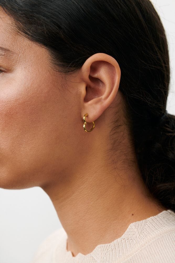 Pernille Corydon - Affection Hoops e-491-gp - Gold Plated Øreringe 