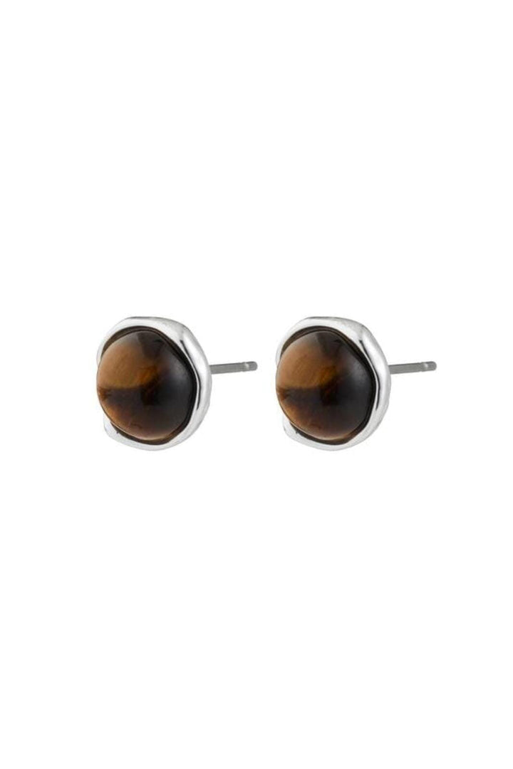 Pilgrim - Sense Earrings Silver-plated/tiger Eye 132546513 - Silver Plated