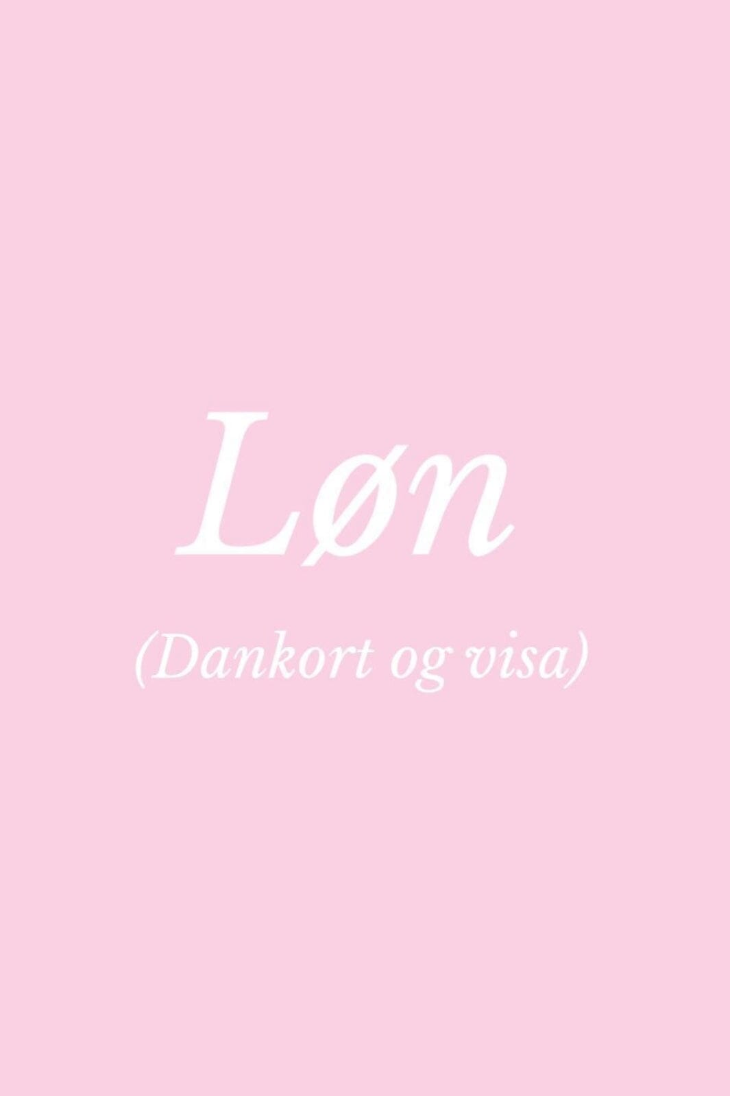 LØN D. 30/06 (Op til 6000,- pr. ordre) kredit 