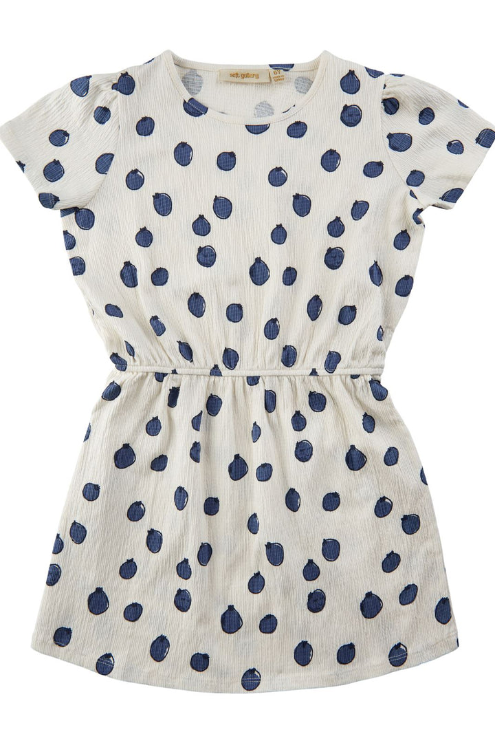 Soft Gallery - SGHillaria Blueberries SS Dress - Gardenia Kjoler 