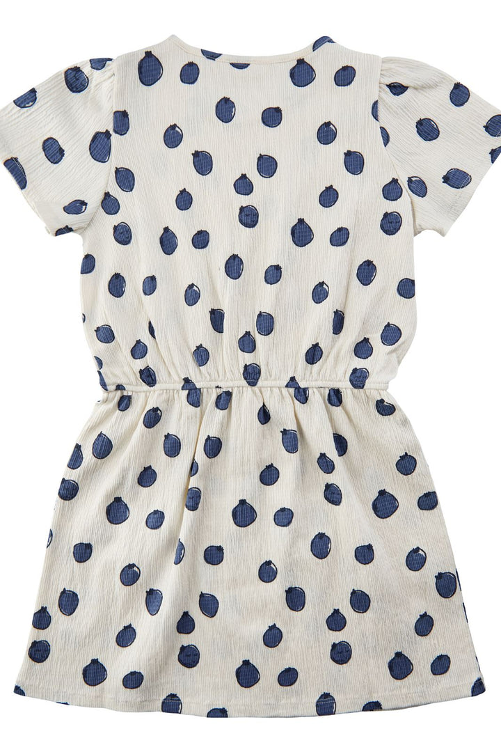 Soft Gallery - SGHillaria Blueberries SS Dress - Gardenia Kjoler 