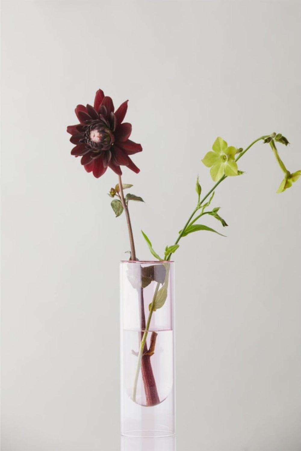 Studio About - Flower Tube, Tall Tube, Rose, 65200R Vaser 