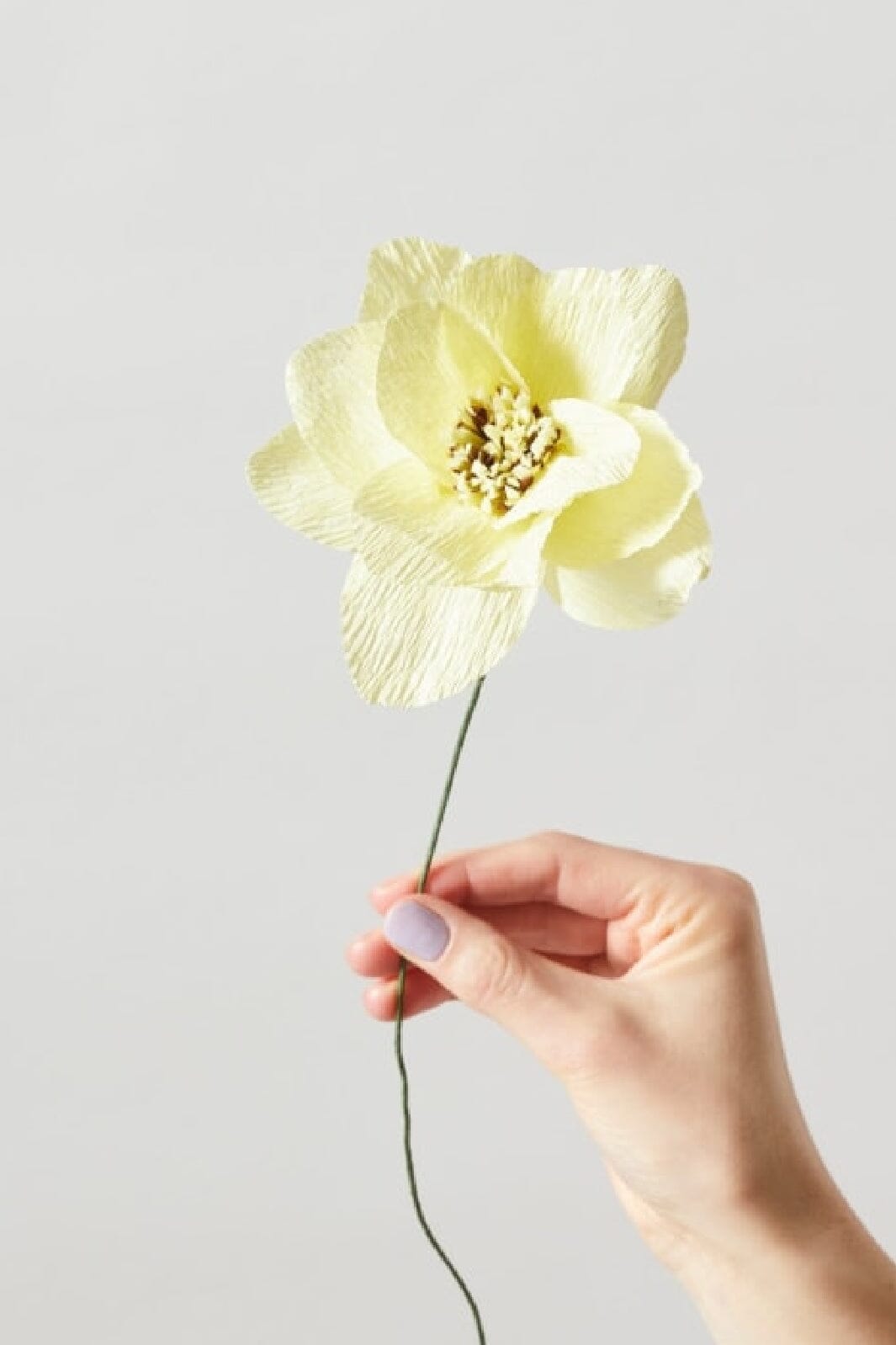 Studio About - Paper Flower, Dahlia, Yellow, 120430Y Interiør 