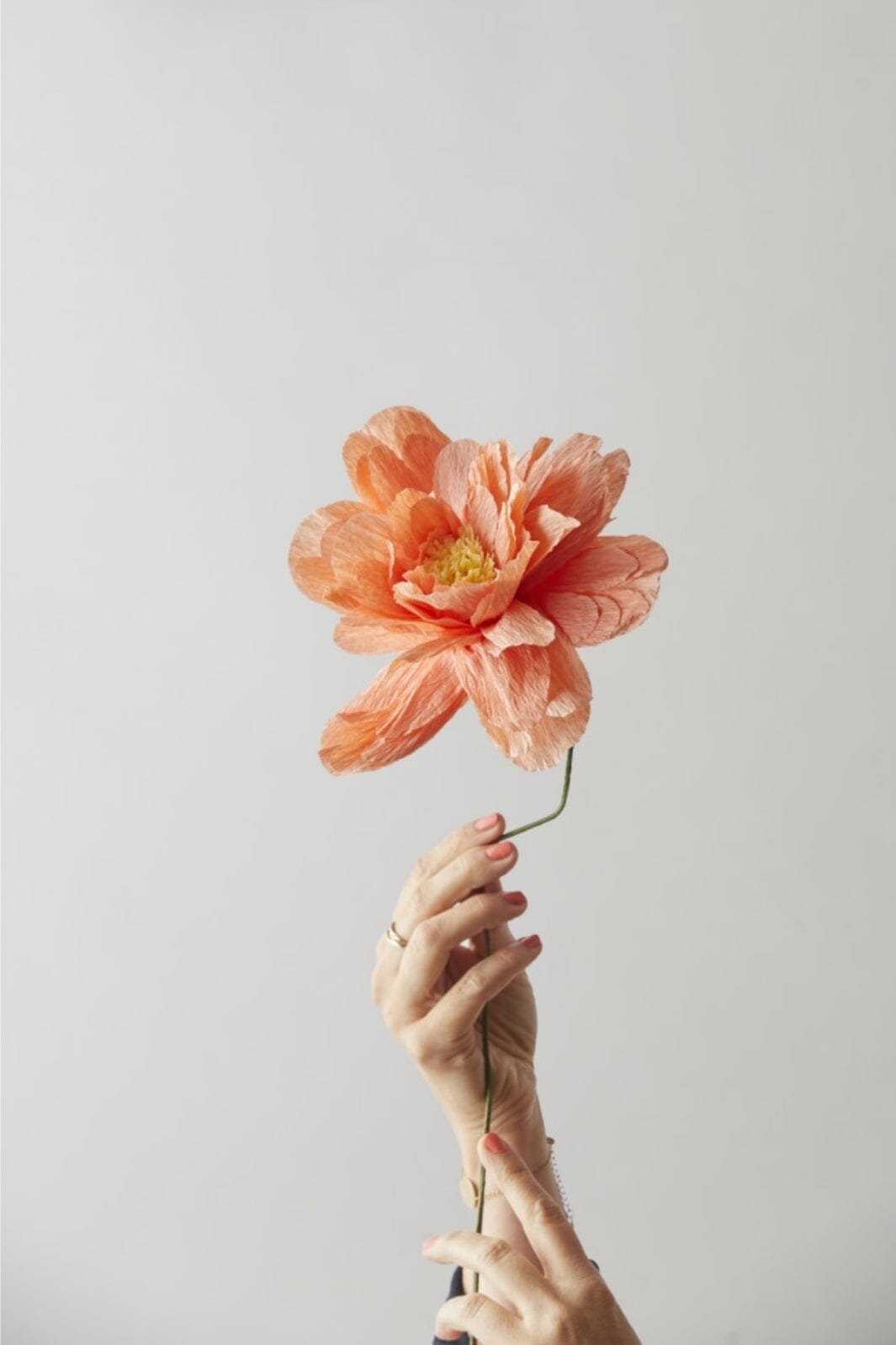 Studio About - Paper Flower, Grand Peony, Peach, 170480P Interiør 