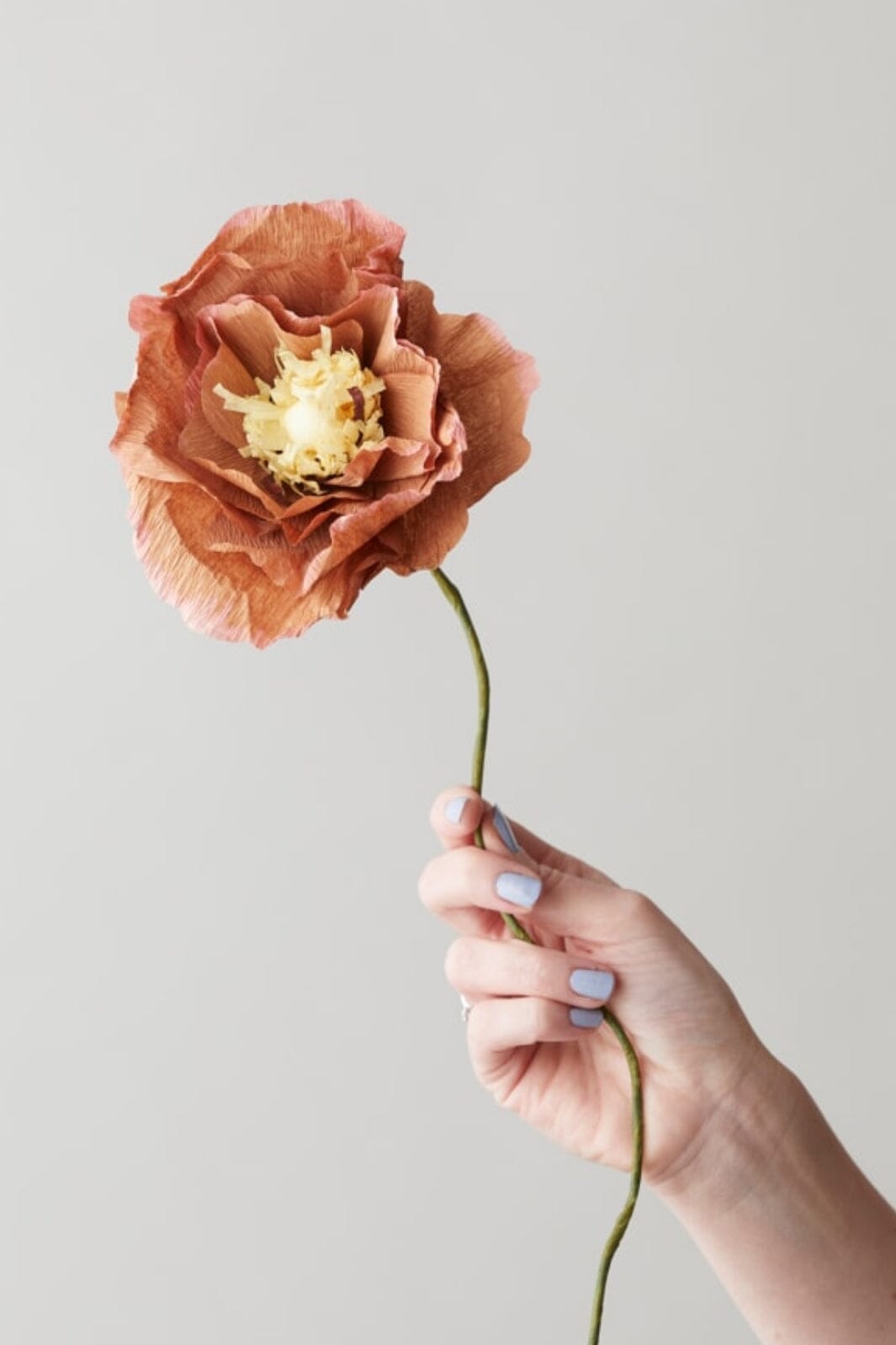 Studio About - Paper Flower, Ice Poppy, Dark Ochre, 130440Do Interiør 