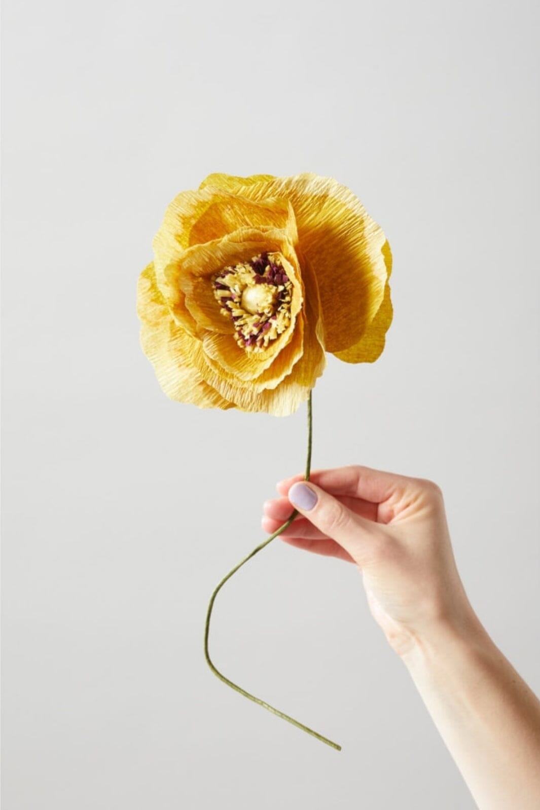 Studio About - Paper Flower, Ice Poppy, Ochra, 130440O Interiør 