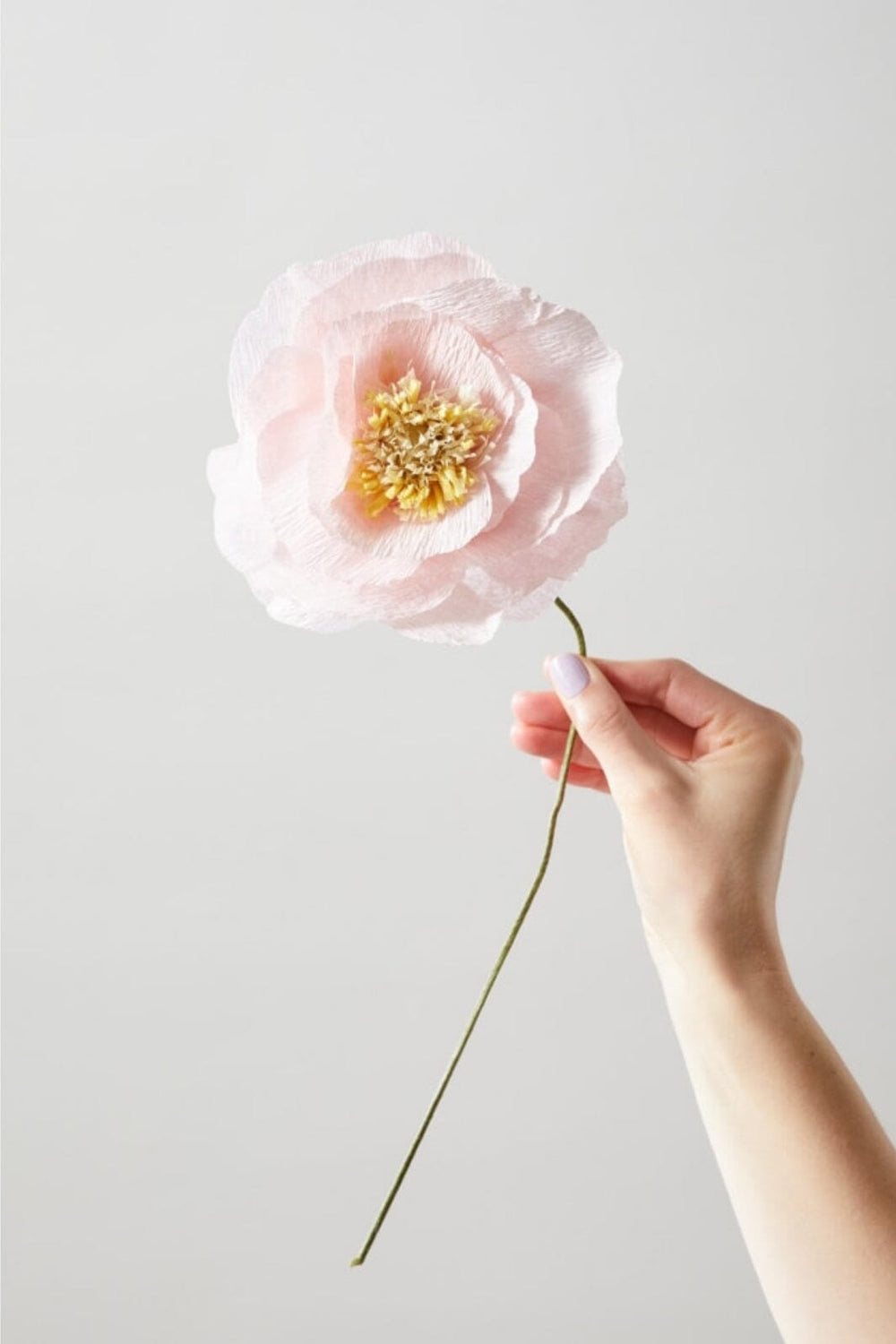 Studio About - Paper Flower, Ice Poppy, Rose, 130440R Interiør 