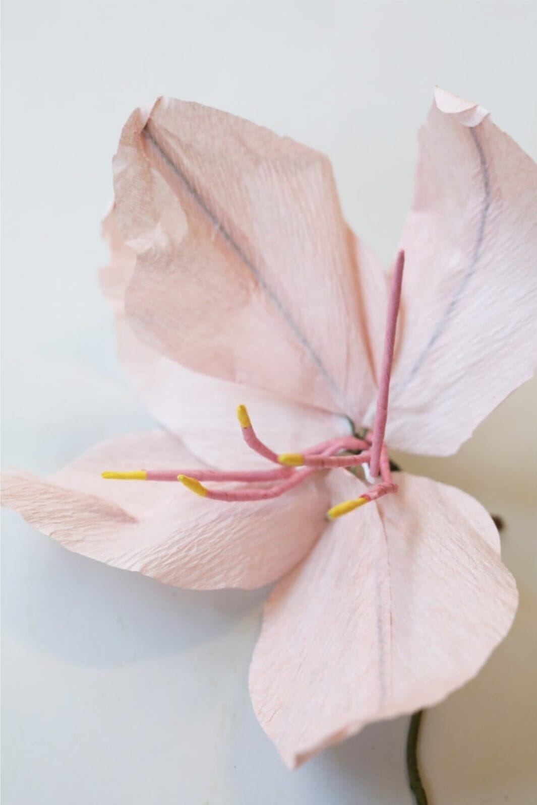 Studio About - Paper Flower, Lily, Rose, 200450R Interiør 