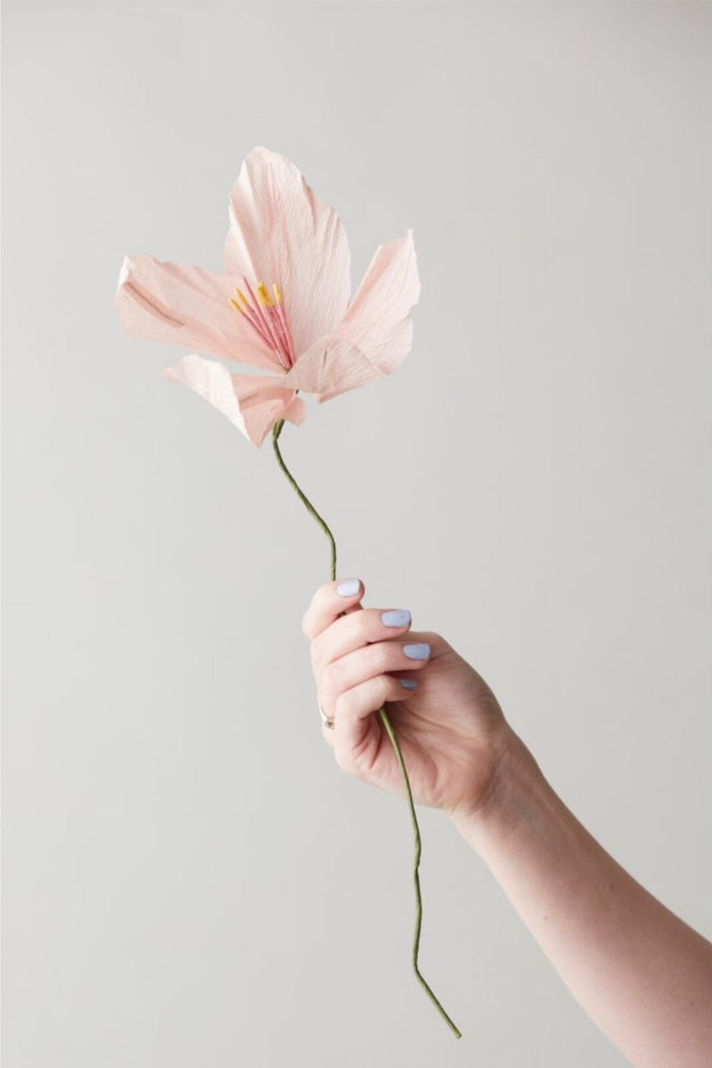 Studio About - Paper Flower, Lily, Rose, 200450R Interiør 