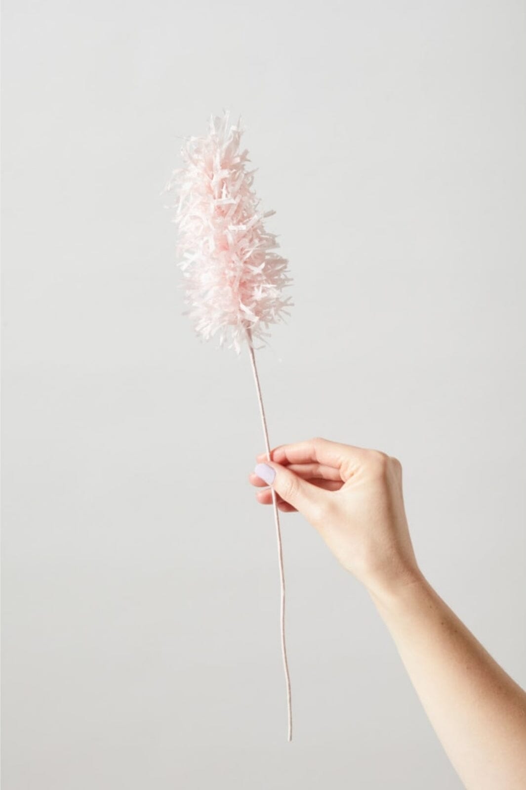 Studio About - Paper Flower, Pampas, Rose, 40480R Interiør 