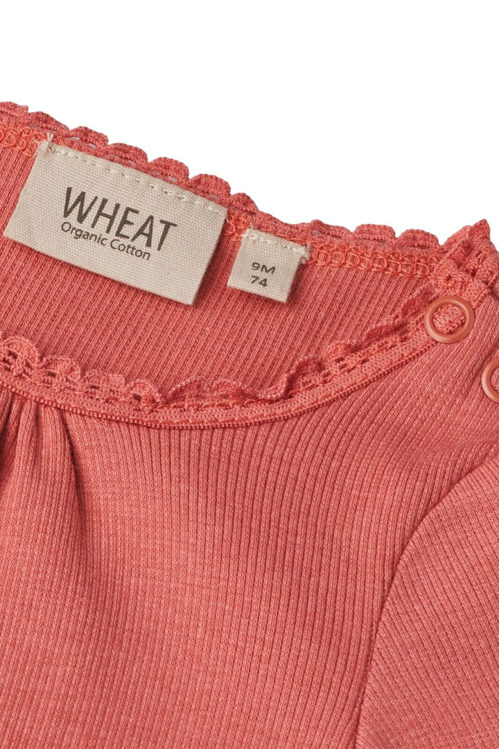 Wheat - Rib Body Lotta - 2020 faded rose Bodystockings 